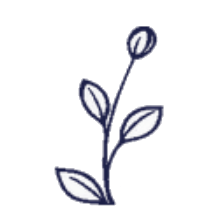 SereneMind Logo